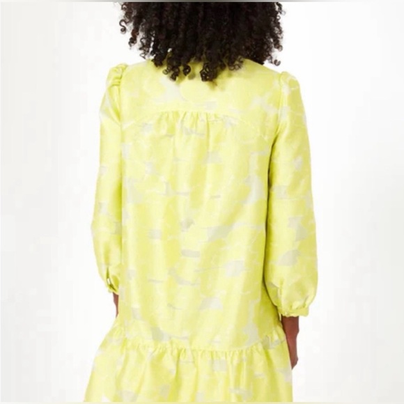 Tuckernuck Citron Fil Coupe Palmerston Dress - Picture 4 of 6